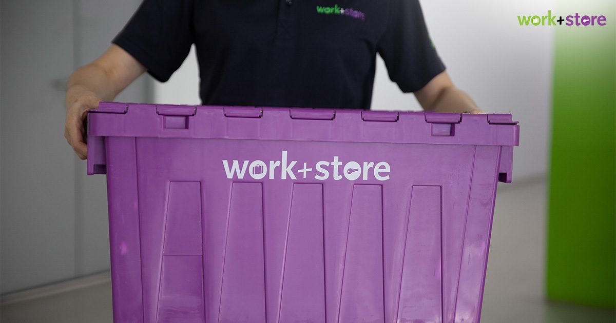Work plus Store Valet Storage Solution